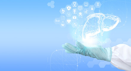 Doctor Holding a virtual in hand is a liver. Concept of scientific technology in healthcare,...