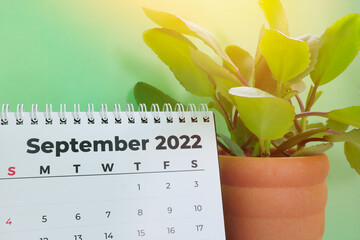 Selective focus of September 2022 desk calendar with ornamental plant and copy space on green...