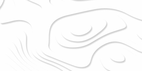 Abstracts Luxury paper cut background, Abstract decoration, white pattern gradients, 3d Vector illustration, topographic canyon map light relief texture, curved layers and shadow.