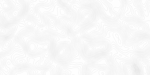 Topographic background and texture, monochrome image. 3D waves. Cartography Background, White wave paper curved reliefs abstract background	
