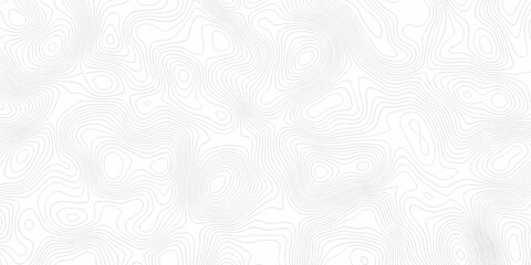 Topographic background and texture, monochrome image. 3D waves. Cartography Background, White wave paper curved reliefs abstract background	
