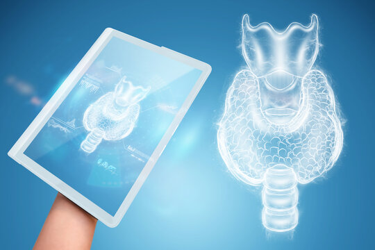 Thyroid gland, hologram on a blue background. Ultrasound diagnostics, thyroid diseases.