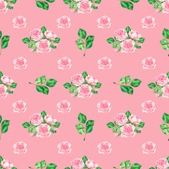 Pattern with pink roses. Watercolor vintage illustration. Isolated on a pink background.