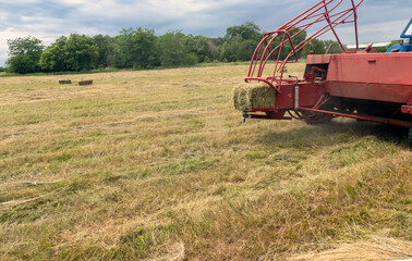 The tractor collects dry hay in the field, the press presses the hay, work in the field.