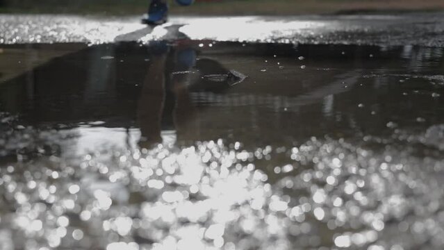 Trail runners run in a shallow river at sunset. Active athletes have morning runs in shallow water, male runners jogging, splashing water at sunrise, Footage SUPER SLOW MOTION, CLOSE UP, 