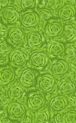 Fototapeta premium Green roses background 