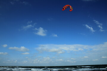 kite in the sky
