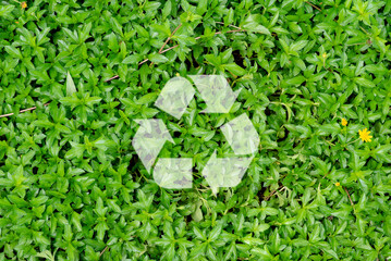 Recycle symbol on the green grass. Concept of recycling helps save the environment.