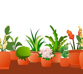 Indoor plants and flowers. In ceramic pots. Homemade beautiful herbs. Seamless horizontal composition. Isolated on white background. Cartoon fun style. Vector