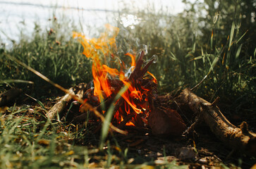Bonfire in nature, red flame burning firewood in forest outdoors, close-up