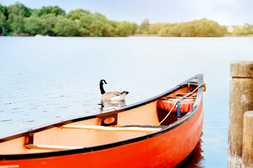 A orange canoe resting on a lakeshore in the public park on summer days