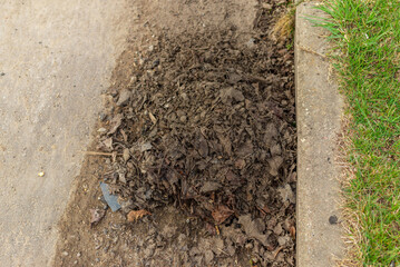 Fallen leaves are collected in heaps along the curb of the asphalt road.Spring overcast day.Selective focus.Top view.