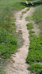 path in park at dry sunny summer day