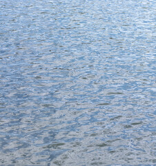 ripple on water in city park pond at dry sunny summer day