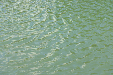 ripple on water in city park pond at dry sunny summer day