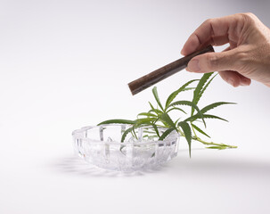 Hand holding a hemp roll-up marijuana,Clear Paper Cellulose Paper ,and ashtray with cannabis leaf.