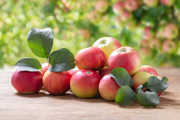 Fresh apples on a wooden table in a garden
