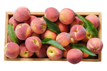fresh ripe peaches in a wooden box isolated on white background, top view