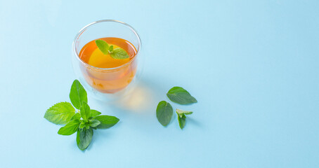 tea with mint and oregano on blue background