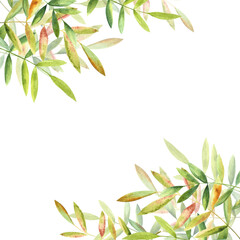 A composition of green leaves, hand-painted in watercolor.