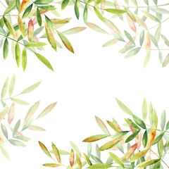 A composition of green leaves, hand-painted in watercolor.