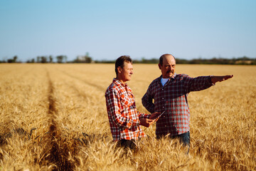 Naklejka na ściany i meble Farmers with tablet in the field. Modern agriculture technology. Smart farming concept.