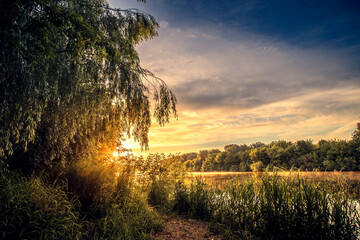 Summer sunrise over the river. Calm, relaxing rural landscape.