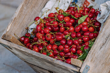 Ripe and sweet cherries in a wooden basket at the rustical farmer's market