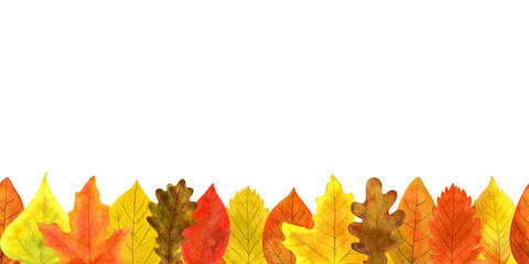 Autumn leaves seamless border painted in watercolor. Orange and yellow autumn foliage of oak, maple, poplar, ash, elm, aspen isolated on white background.