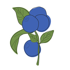 Blueberry branch minimalistic flat and line style.sprig of blueberries with leaves and berries