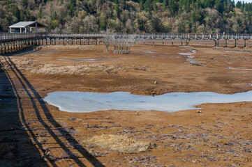 Boardwalk in the middle of Nisqually river estuary in the Billy Frank Jr. Nisqually National Wildlife Refuge, WA, USA