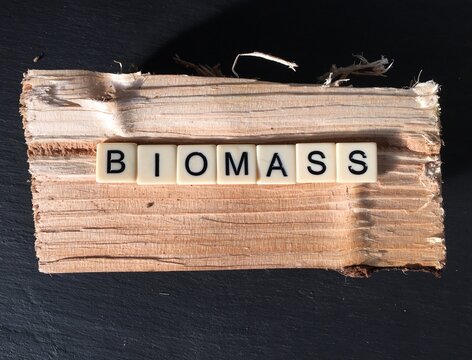 Word biomass spelled out on a cut log.
