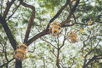 An antique style lantern made of bamboo pasted with paper is hung on a tree.