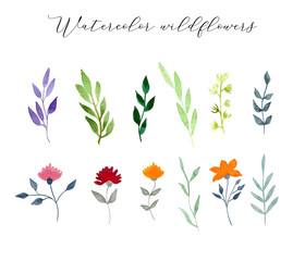 Fototapeta na wymiar Collection with Wild Flowers, Plants and Branches. Nature Floral Simple Element. Watercolor Flowers. Botanical Greenery and Foliage for fabric, textile, print, card, poster. Vector