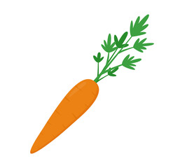 Carrot. Vegetable icon in a flat design on a white background. Vector illustration.
