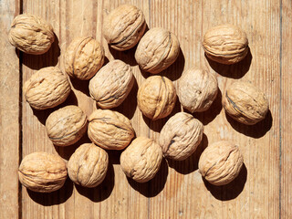 Walnuts on a wooden table in the bright sun.