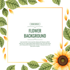 Square background with sunflowers. Floral frame with yellow flowers and green leaves. Banner, poster, flyer, postcard. Summer illustration.