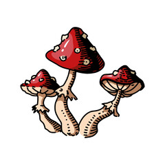 Fly agaric or amanita mushrooms group, vector doodle black ink drawing