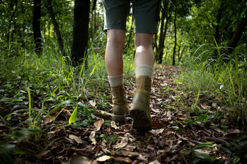 Woman hiker hiking on forest trail