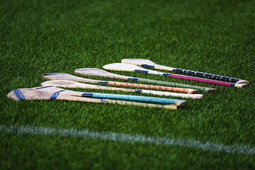 A bunch of camogie ash hurleys lie in the grass - obrazy, fototapety, plakaty