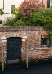 Beautiful charming old weathered wall facade with plants hanging over in Venice, Italy 