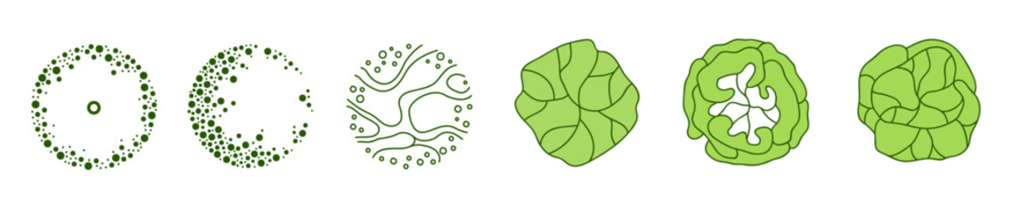 Tree for architectural floor plans. Entourage design. Various trees, bushes, and shrubs, top view for the landscape design plan. Vector illustration.