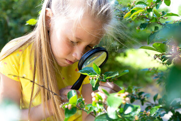 Caucasian little girl is exploring nature looking at magnifying glass on a plant in summer