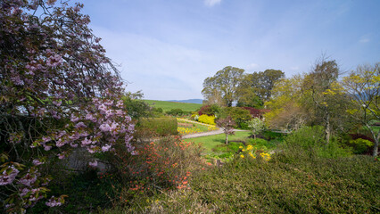 Garden in the spring