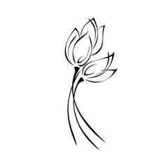 ornament 2368. small bouquet of stylized tulip buds in black lines on a white background