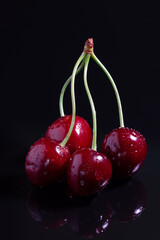Large ripe red cherries on a dark background. Close up. Vertical.