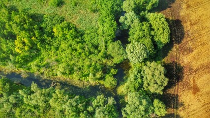 Naklejka premium DCIM\100MEDIA\DJI_0919.JPG