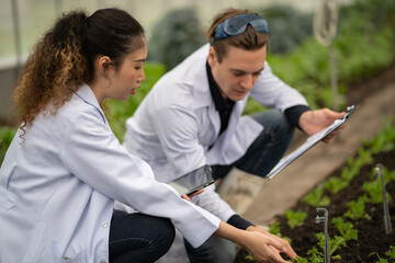 Professional fruit researcher using tablet to input record and quality control check growing fruit and vegetable indoor vertical agriculture farming

