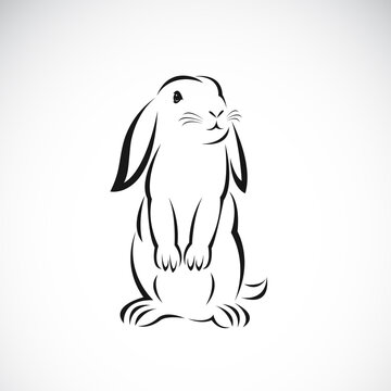 Vector of rabbit design on white background. Easy editable layered vector illustration. Wild animals.