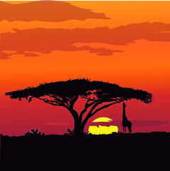 Fototapeta na wymiar silhouette of a tree at sunset, vector illustration, savannah wildlife
